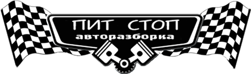 Логотоип ПитСтоп