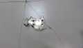 Теплообменник Citroen C3 1 2002-2009 - 7433167
